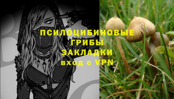 гидропоника Няндома