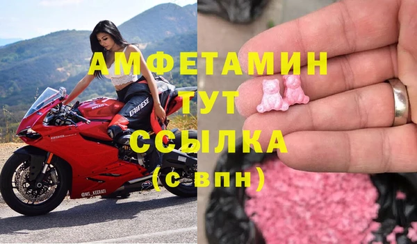 стаф Дмитриев