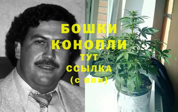 эйфоретик Осташков