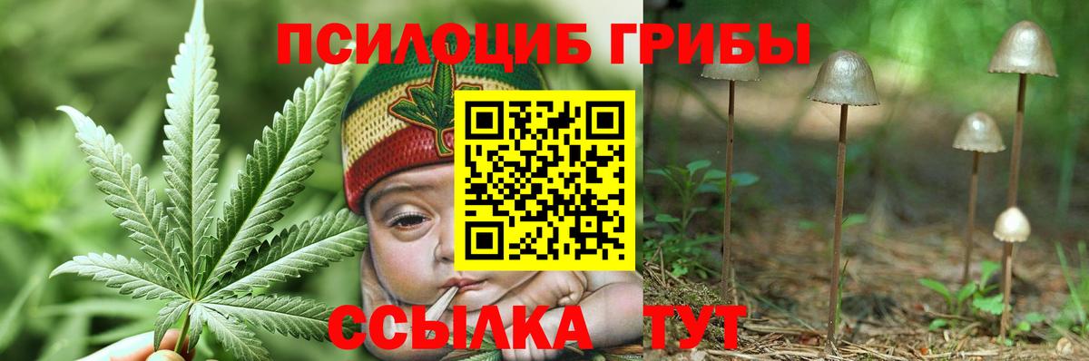 купить  цена  Галлюциногенные грибы Magic Shrooms  Куйбышев  Галлюциногенные грибы мухоморы 