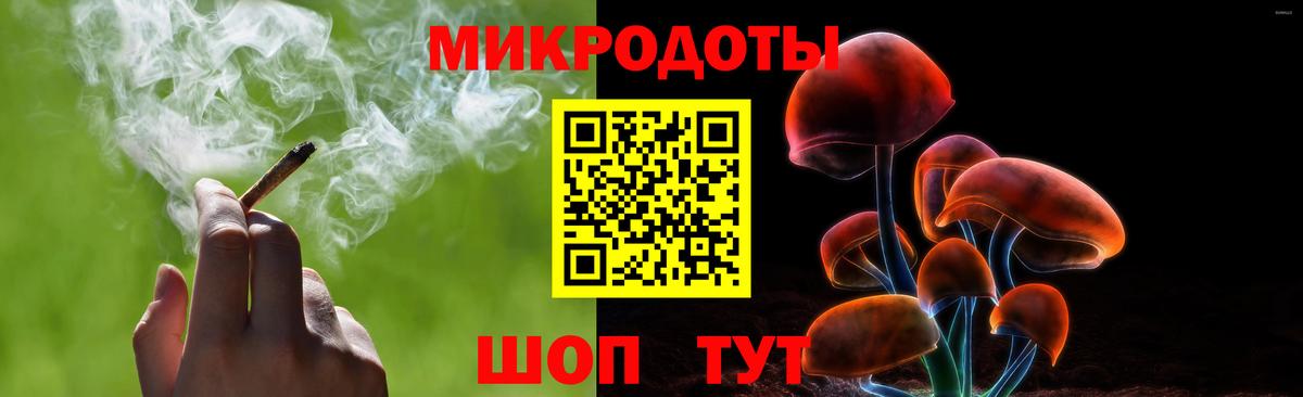 Псилоцибиновые грибы Cubensis Куйбышев